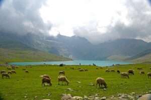Kashmir Grate Lakes Trek