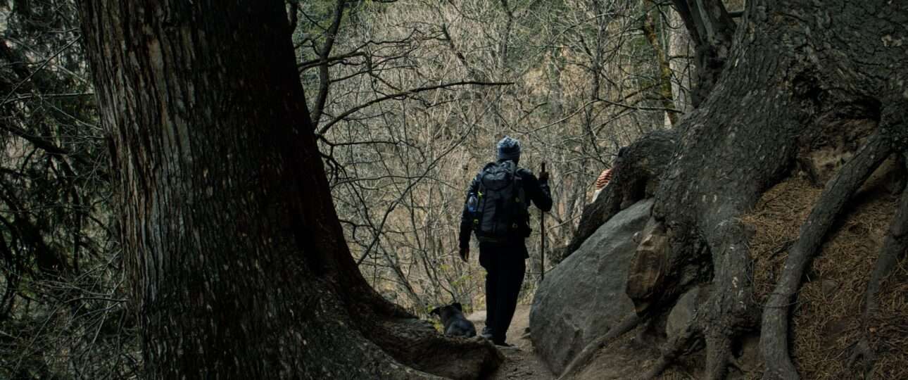 Kheerganga Trek